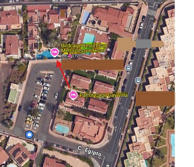 Birdcage Gay Men And Lifestyle (adults Only) Playa del Ingles (Gran Canaria)