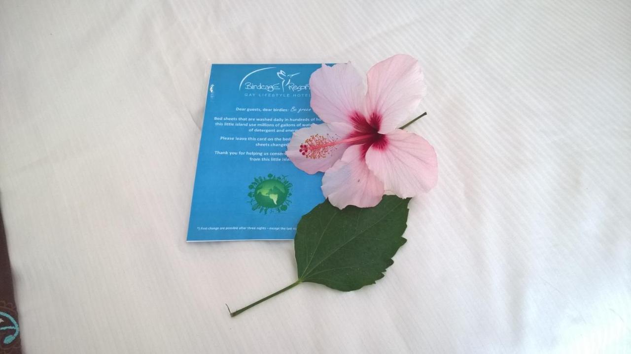 Birdcage Gay Men And Lifestyle (adults Only) Resort Playa del Ingles (Gran Canaria)