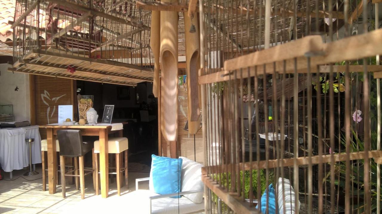 Resort Birdcage Gay Men And Lifestyle (adults Only)